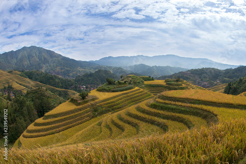  Longsheng ( Longji ) Rice Terraces Fields, Guangxi, China 