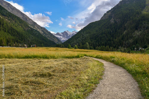 Mountain landscape with a curved footpath among hayfields and snow covered peak in the background in summer, Cogne, Aosta Valley, Alps, Italy