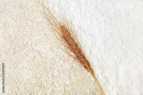 White and whole flour with wheat ears from top view close up background