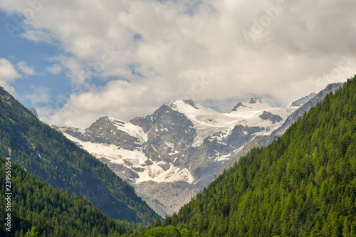 Snow covered mountain peak among pine forest mountainside with cloudy sky in summer, Cogne, Aosta Valley, Alps, Italy