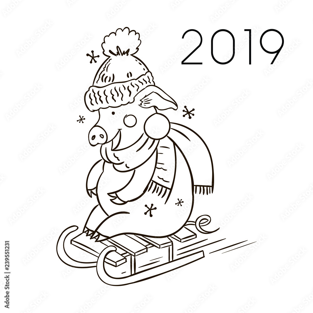 Cute pig illustration for coloring book. 2019 Vector