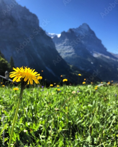 Eine schöne Berglandschaft in der Schweiz