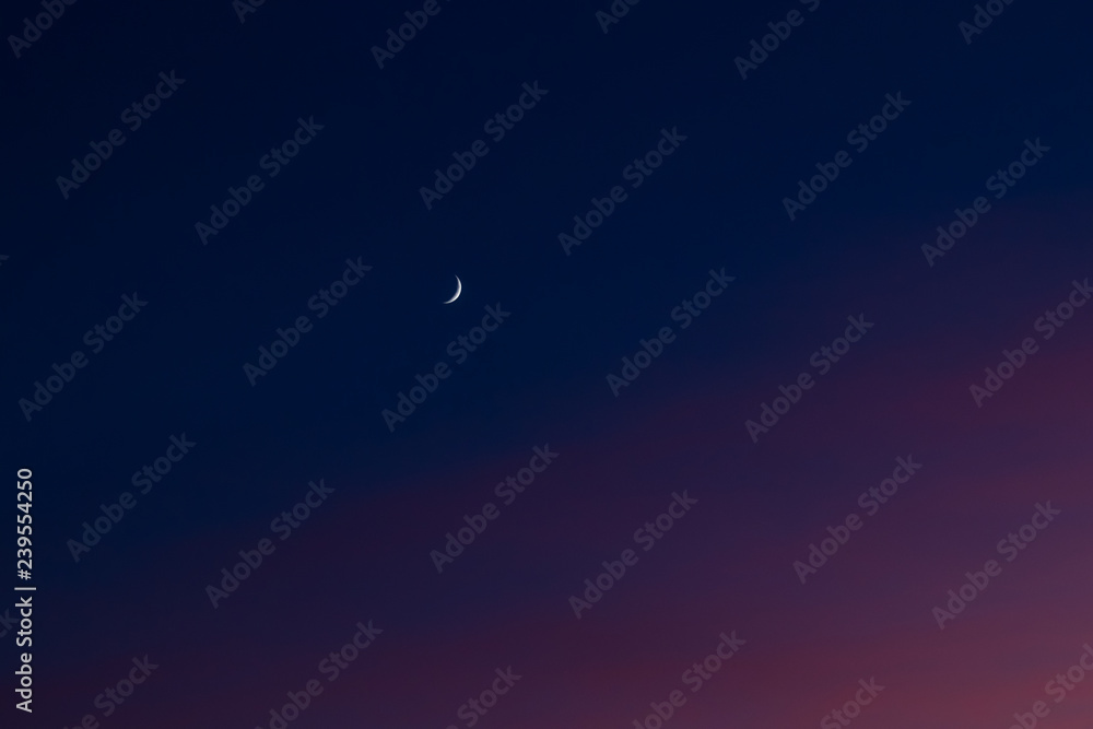 moon moon