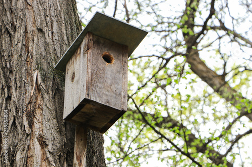 Wooden birdhouse on a tree. Spring.