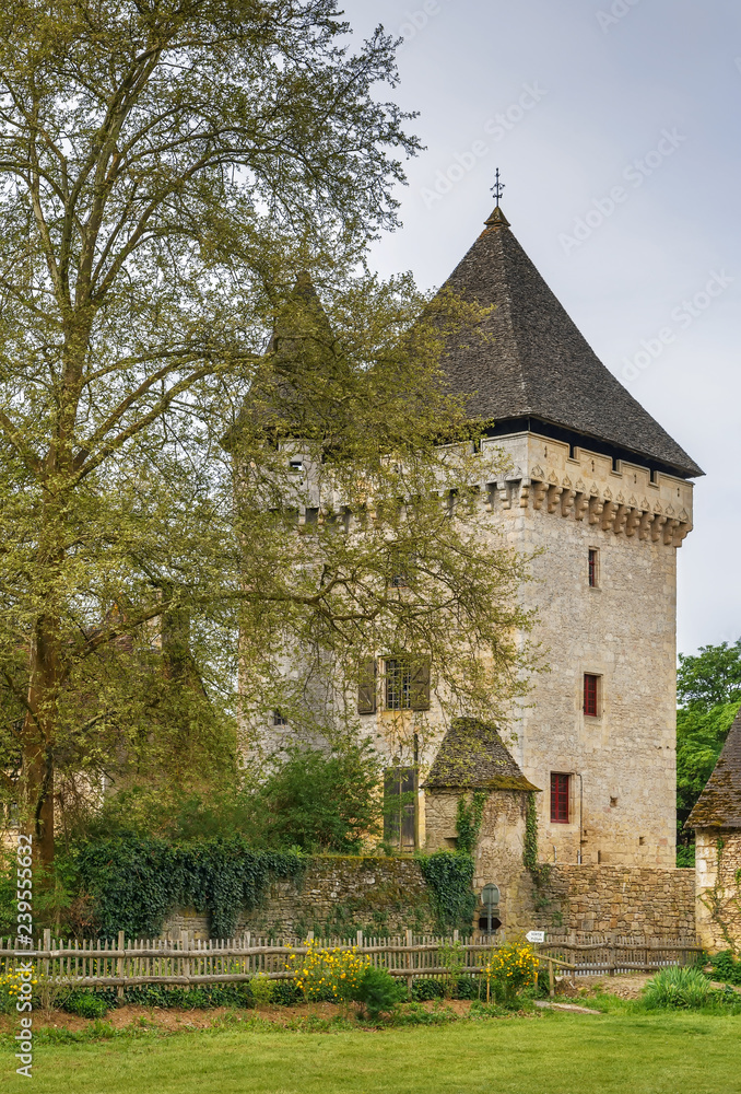 Historical tower, Saint-Leon-sur-Vezere, France