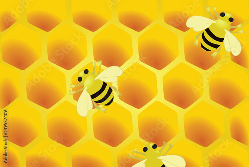 Honeycomb and bee. vector illustration