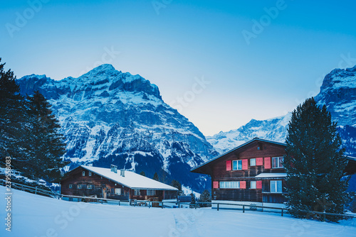 Alpine mountain landscape in the frosty morning. Morning in Grindelwald. © iravi