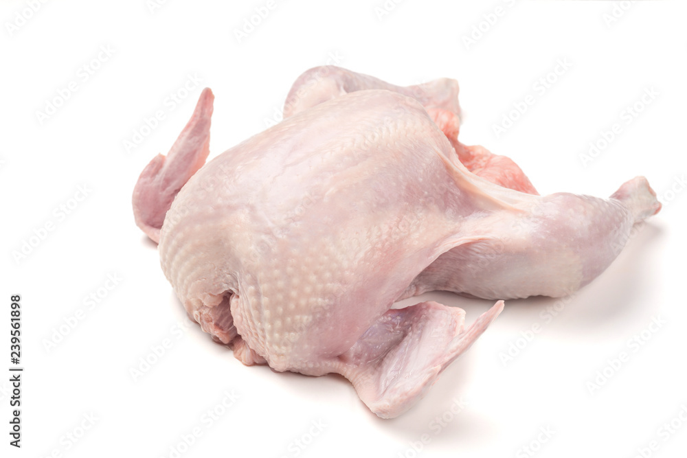 Fresh raw chicken isolated on white Fresh raw chicken isolated on white