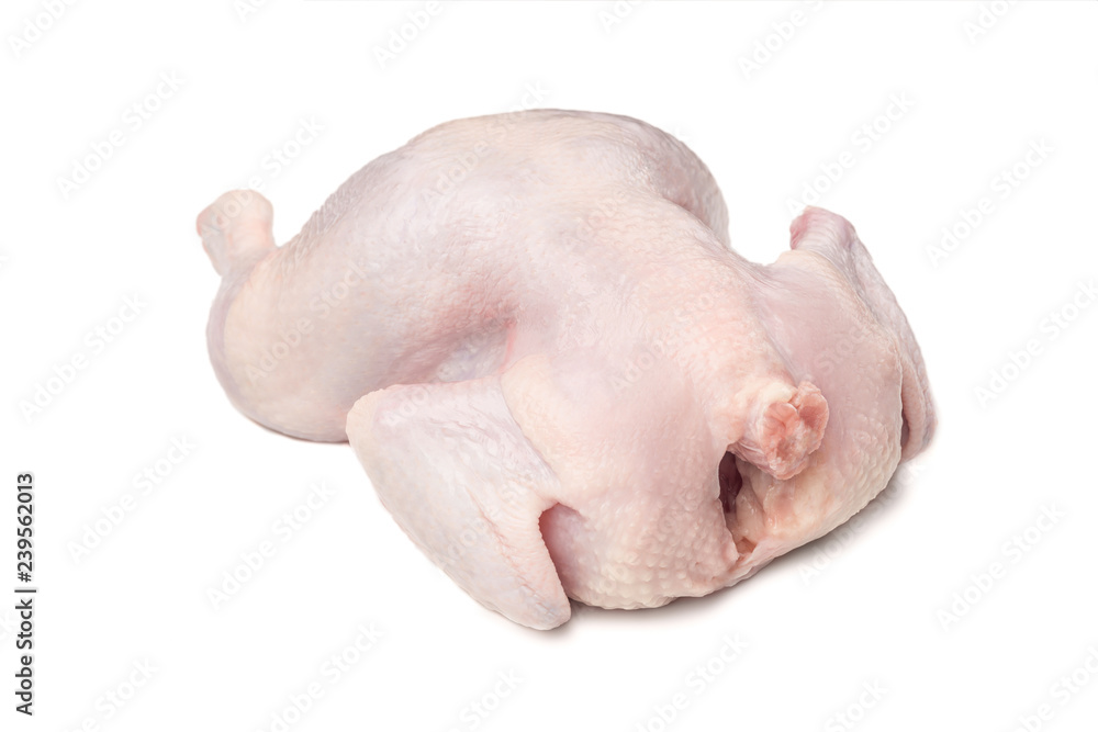 Fresh raw chicken isolated on white Fresh raw chicken isolated on white