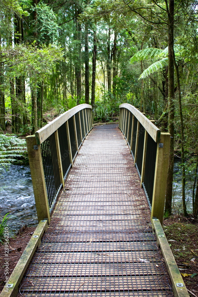 Image of a wooden foot bridge crossing a river in a forest
