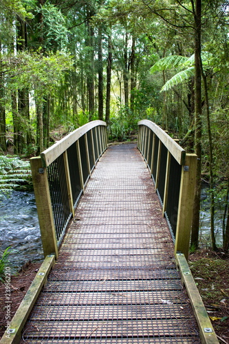 Image of a wooden foot bridge crossing a river in a forest