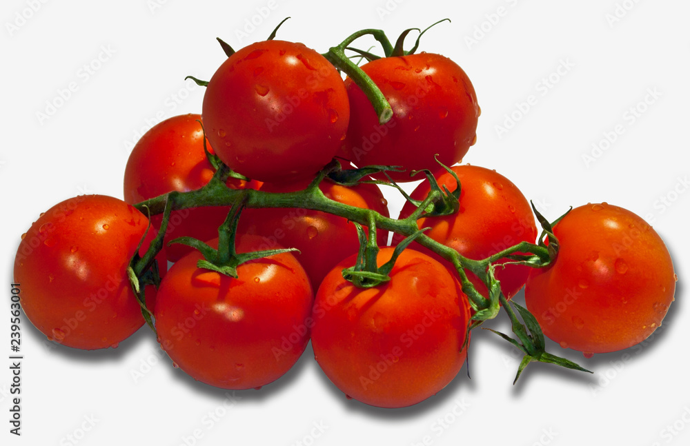 Tomatoes on white.