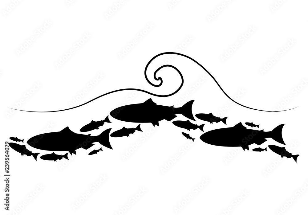 Naklejka Set silhouettes of groups of sea fishes. Colony of small fish. Icon with river taxers. - Vector