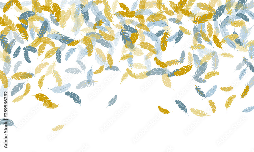 Falling feather elements soft vector design. Falling feather elements soft vector design.