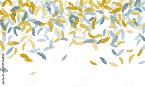 Falling feather elements soft vector design.