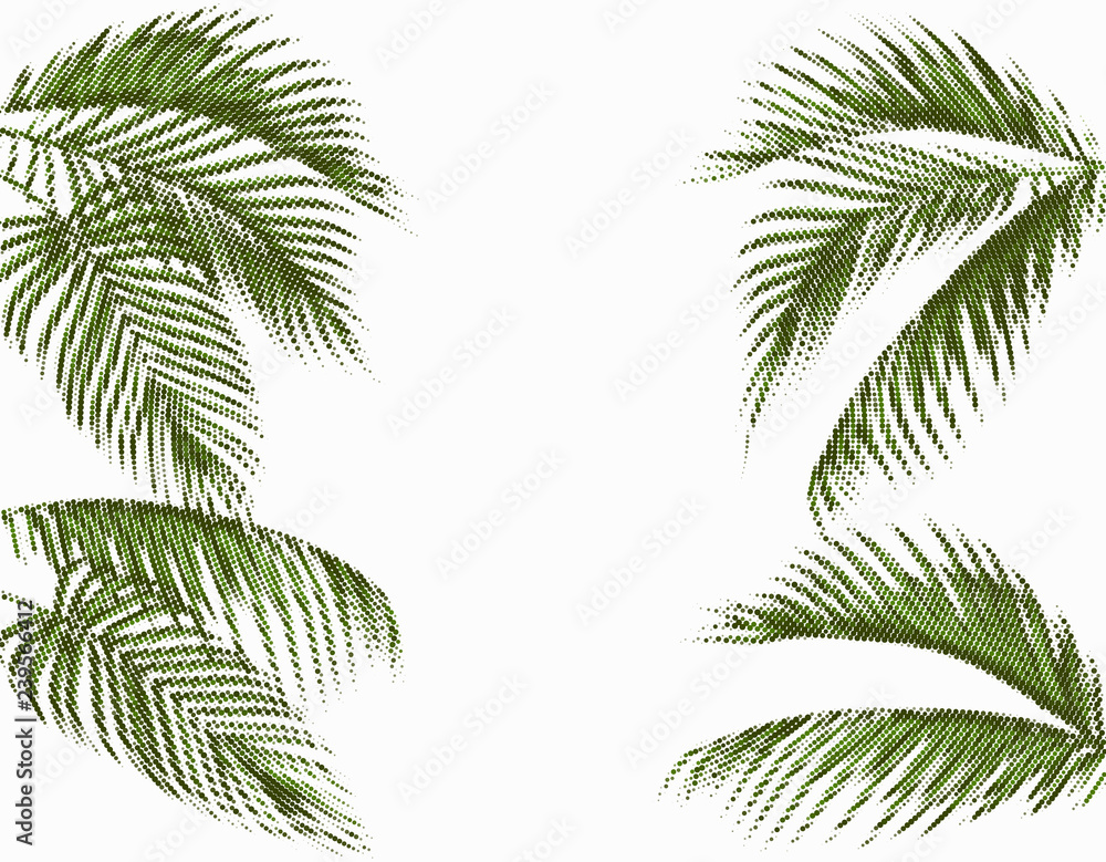 Fototapeta Different in shape tropical dark green palm leaves. Stylized dots design. Isolated on white background. illustration