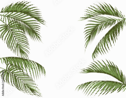 Different in shape tropical dark green palm leaves. Stylized dots design. Isolated on white background. illustration