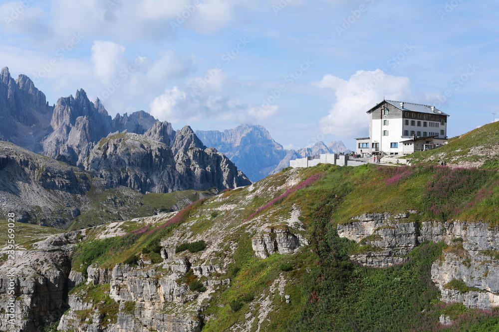 Fototapeta premium Cute house in Italian mountains on hill with pink flowers