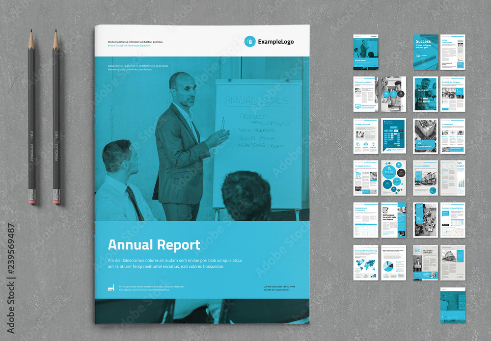 Annual Report Layout with Blue Accents Stock Template | Adobe Stock