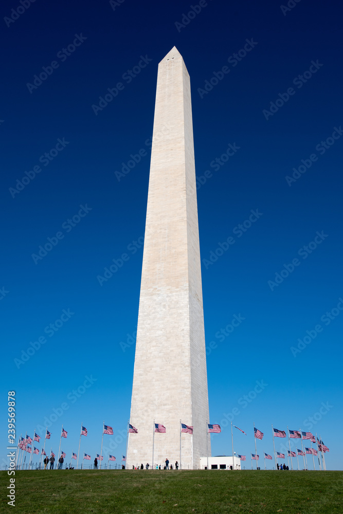 The Washington Monument on a clear blue sky day