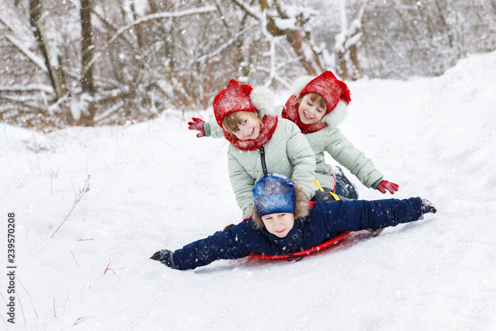 Sisters twins are sitting on the boy's back and sledging.