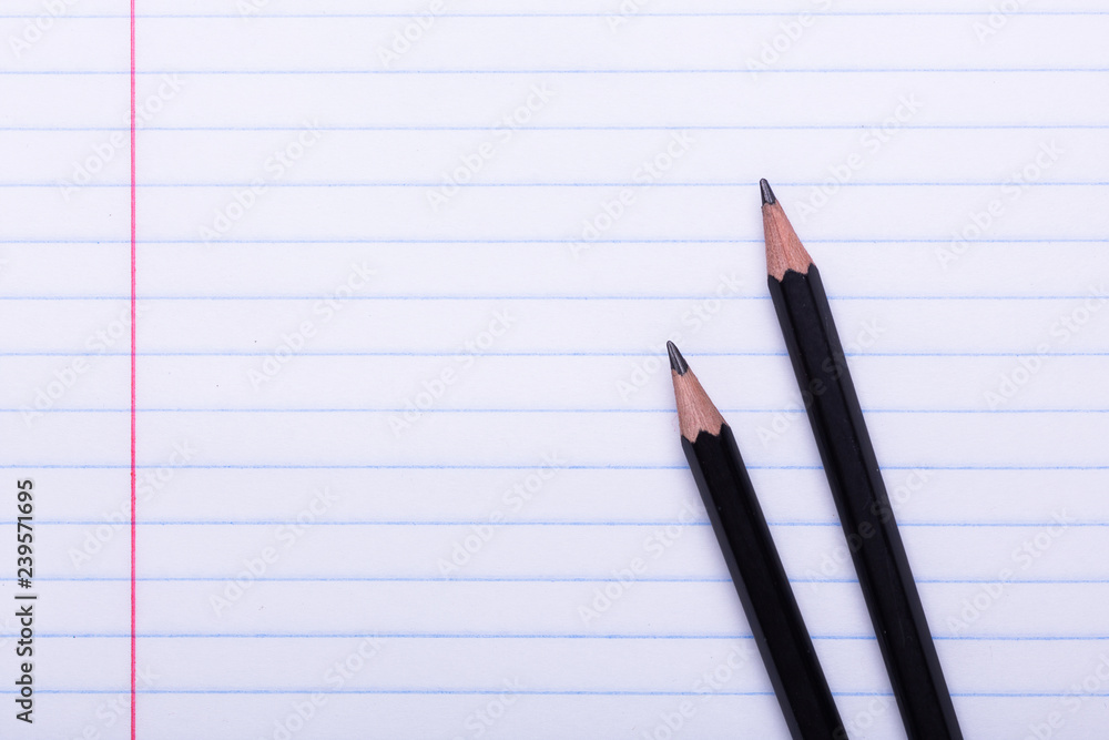 Two black graphite pencils on white sheet in line Copy space Back to school, education concept Two black graphite pencils on white sheet in line Copy space Back to school, education concept