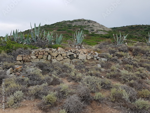 lande de Balagne en bord de mer