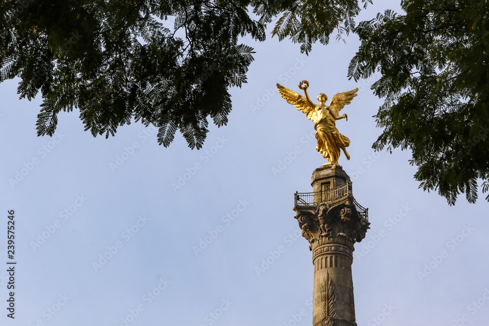 Fototapeta premium CDEMECA