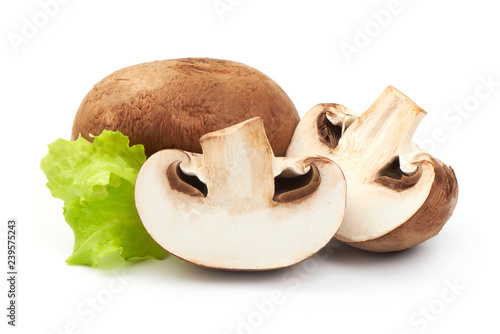 Fresh Brown Champignon Mushrooms with lettuce, close-up, isolated on white background