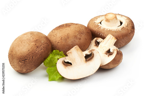 Champignons Mushrooms with lettuce, close-up, isolated on white background