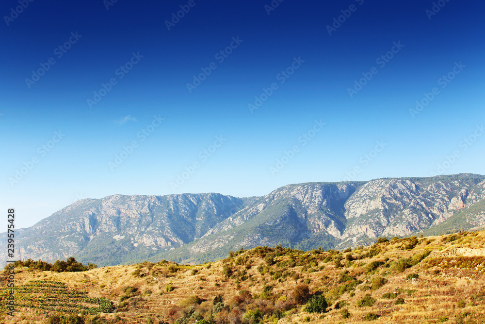 Meadow with mountains and dark blue sky
