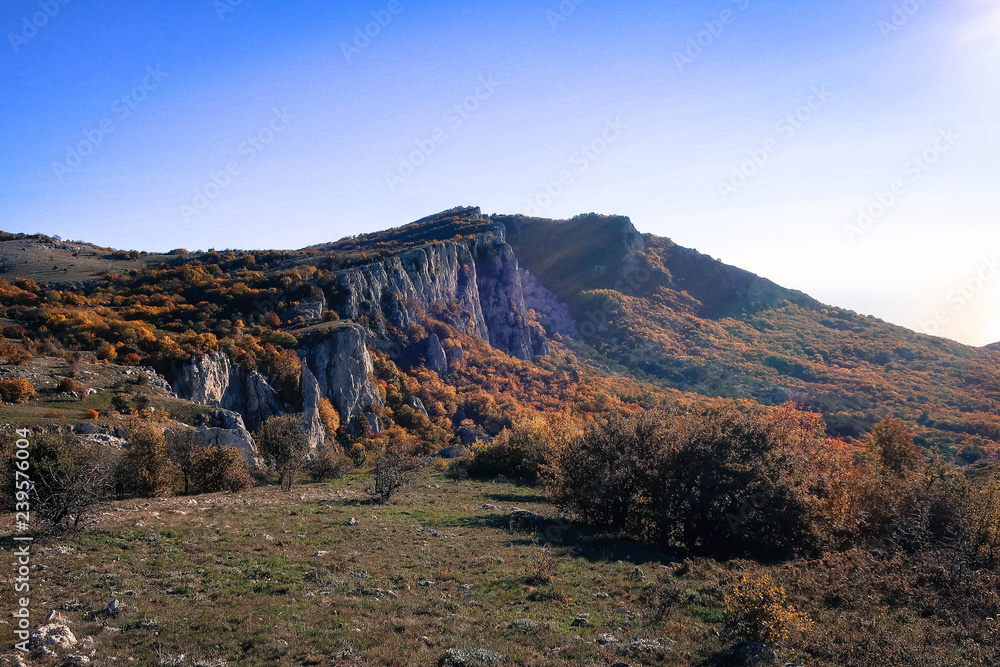 Obraz premium Red autumn forest and Crimean Mountains panorama, Russia
