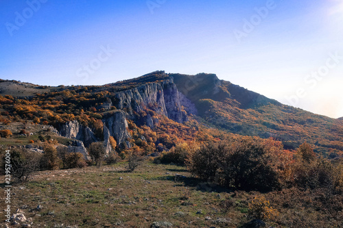 Red autumn forest and Crimean Mountains panorama, Russia