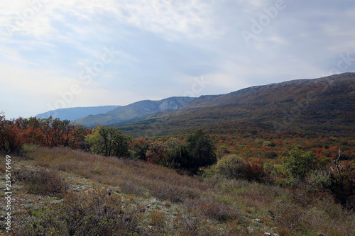 Autumn forest and Crimean Mountains view near Yalta, Russia