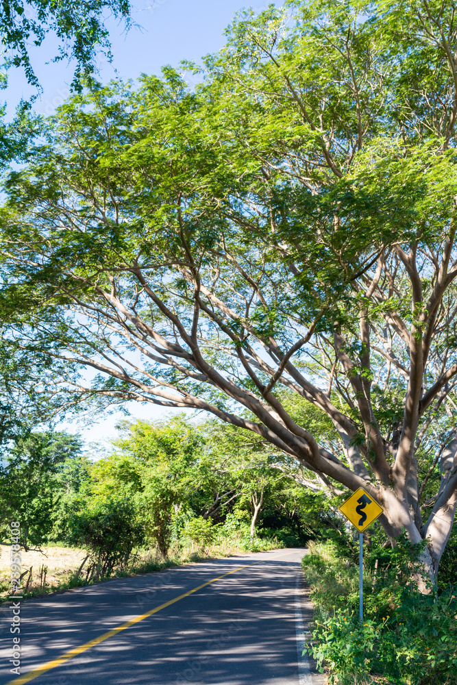 Fototapeta premium paisaje