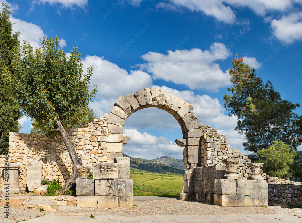 old arch and trees in antique roman city Volubilis in Morocco