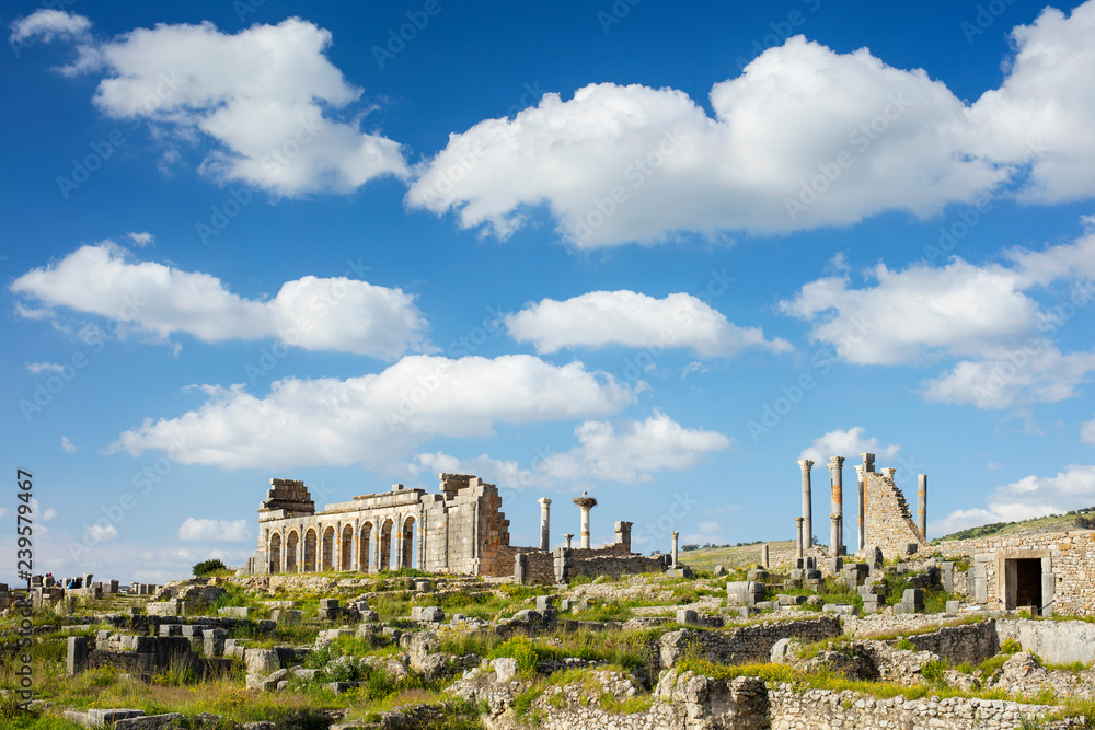 park of ruins under clouds in antique roman city Volubilis in Morocco
