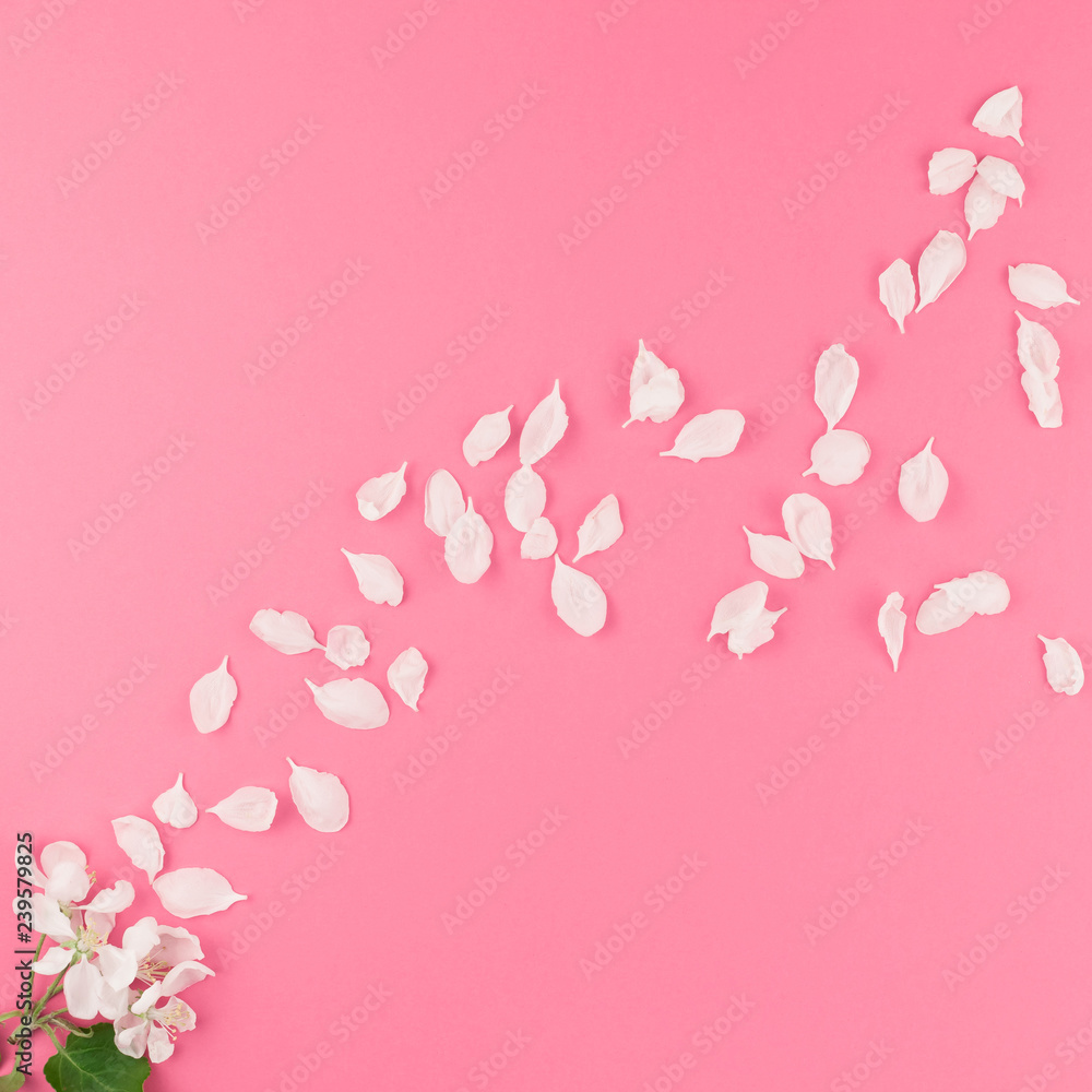 Flat lay of flying white petals