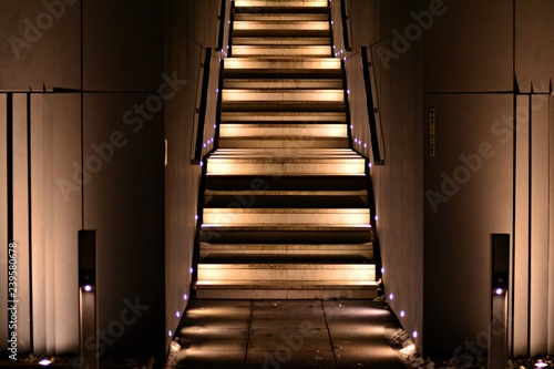 illuminated apartment building staircase exhaling up to entrance in night city