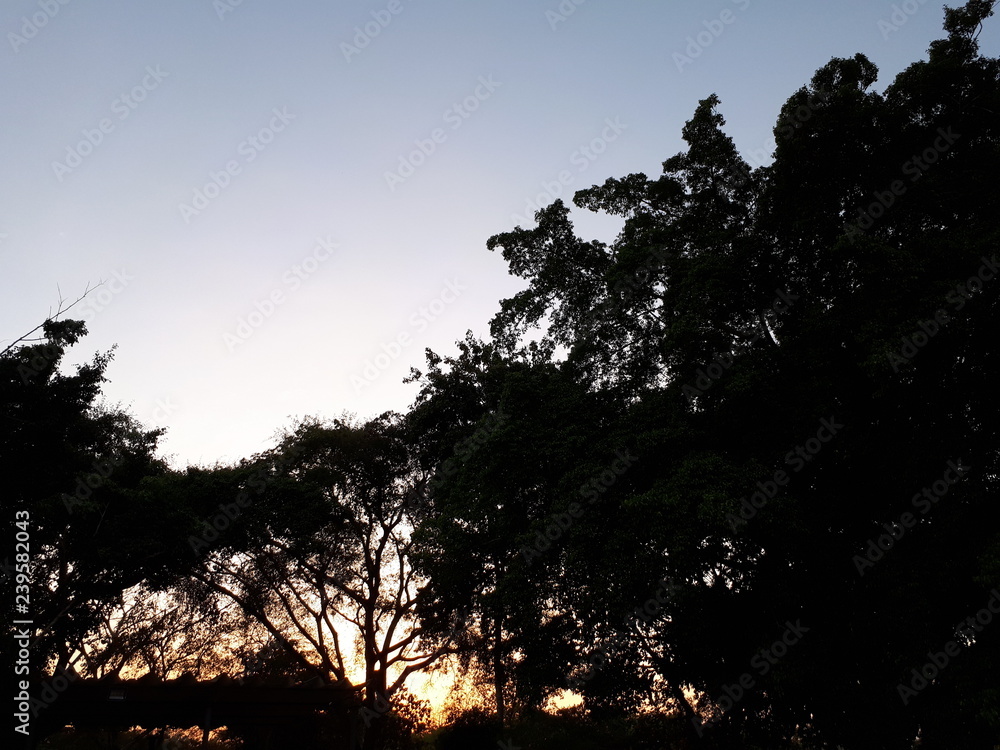 Fototapeta premium el cielo es el liminte 