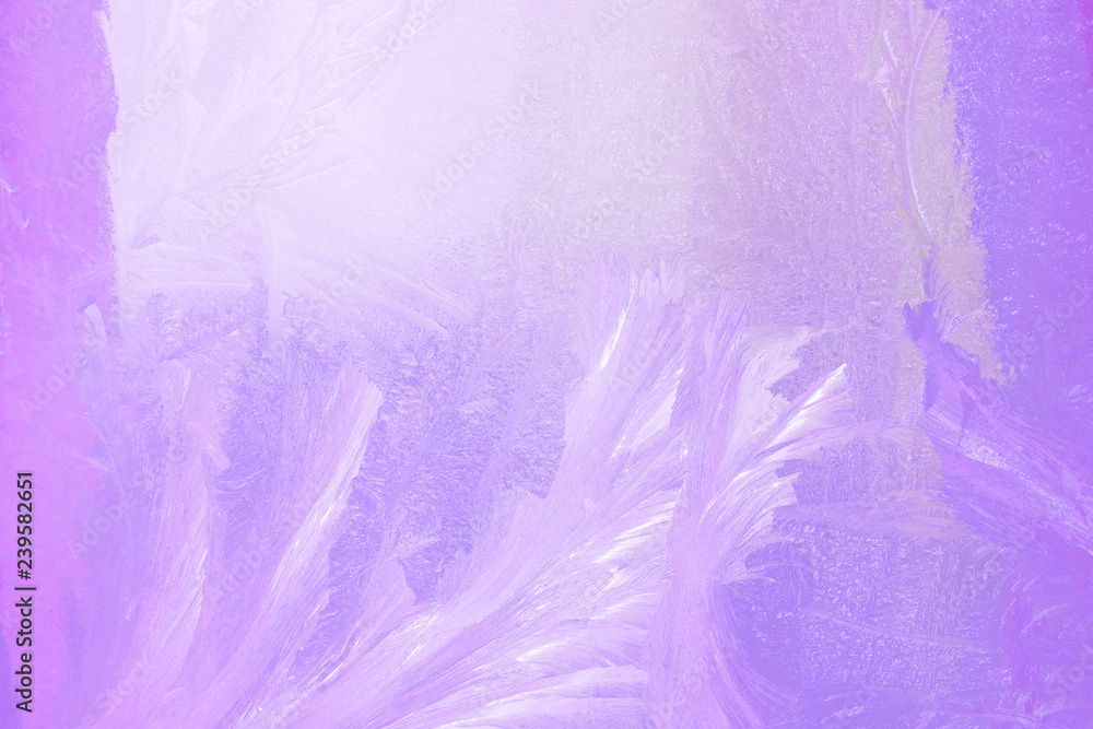Fototapeta premium frosty pattern on the window draws winter purple color light from the window