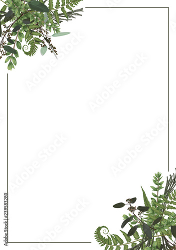 Decorative golden rectangular frame with eucalyptus, fern and boxwood branches isolated on white. For wedding invitations, vignettes, postcards, brunia, posters, documents, diplomas