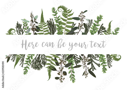 Vector illustration of a frame with green leaves of a forest fern, boxwood and eucalyptus, brunia. Pattern for wedding invitations, greeting cards, banners, certificates