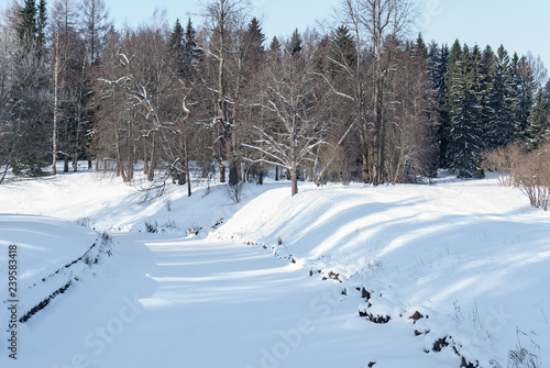 River, trees on a snow-covered glade in the forest in winter