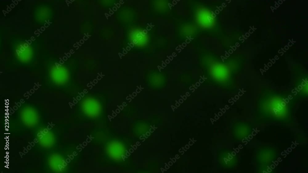 4K Abstract light flashes background green 4K Abstract light flashes background green