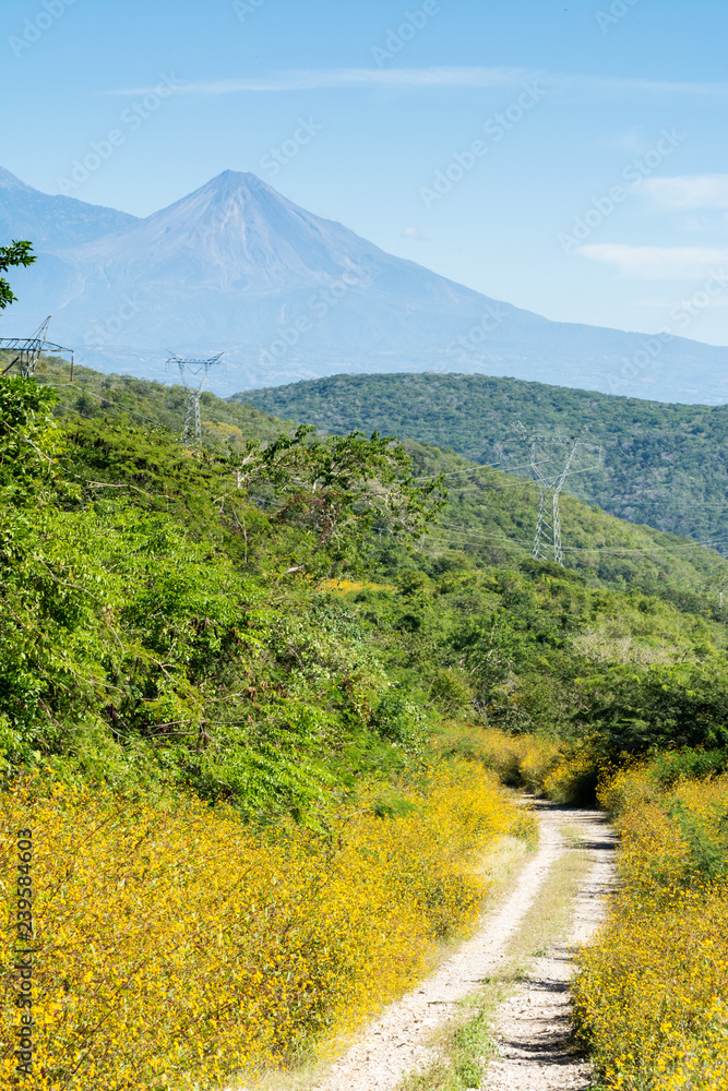 Fototapeta premium paisaje rural