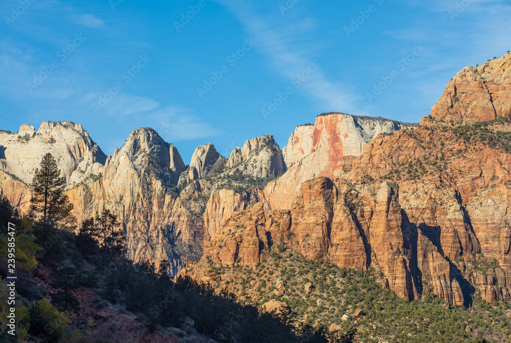 Zion National Park Scenic Landscape