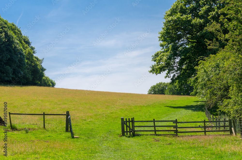 A wooden fence in an idyllic countryside setting in summer. Photo taken in the English Peak District in Derbyshire, UK