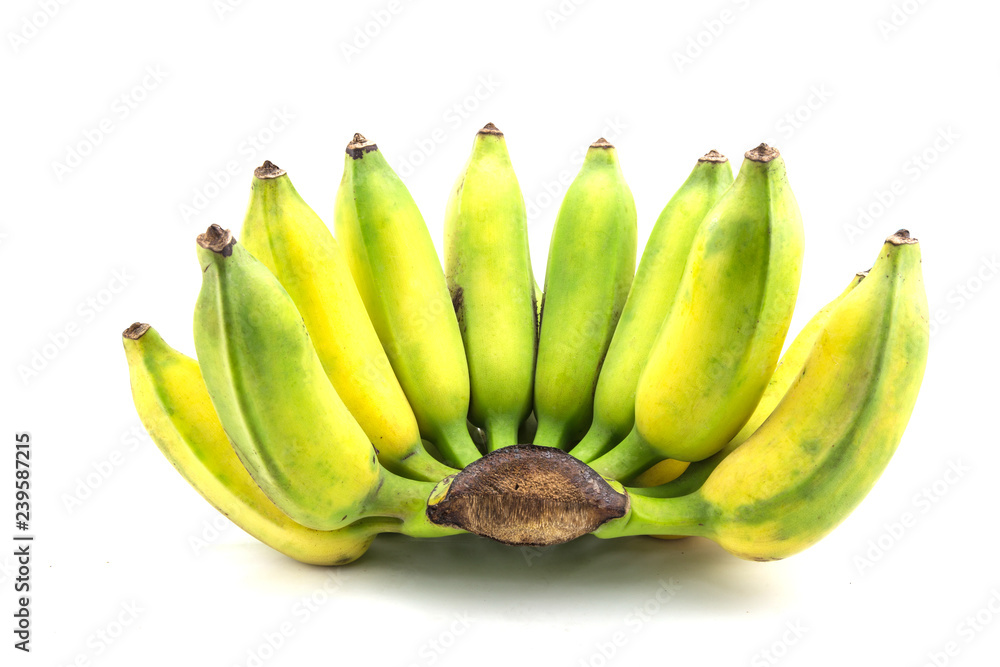 raw bananas isolated on white background raw bananas isolated on white background