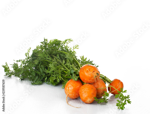 Bunch of Round Carrots  isolated on White Backdrop